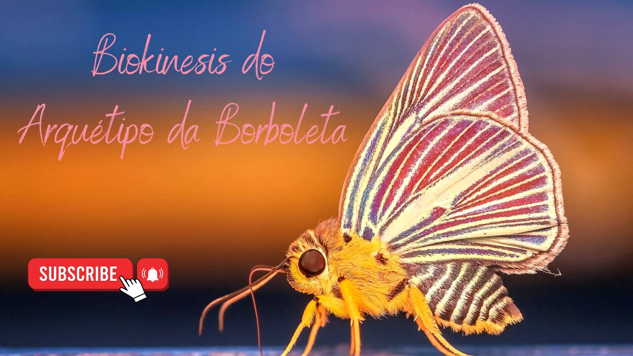 Biokinesis do Arquétipo da Borboleta