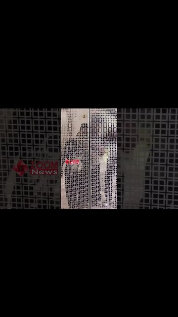 Urfi Javed REACTS as paps say "Get well soon"😍💖📸 #shorts