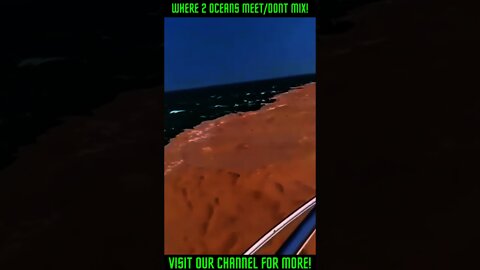 Where 2 Oceans Meet, But Don't Mix! ! #Shorts #viral #GulfofAlaska #SpecificGravity
