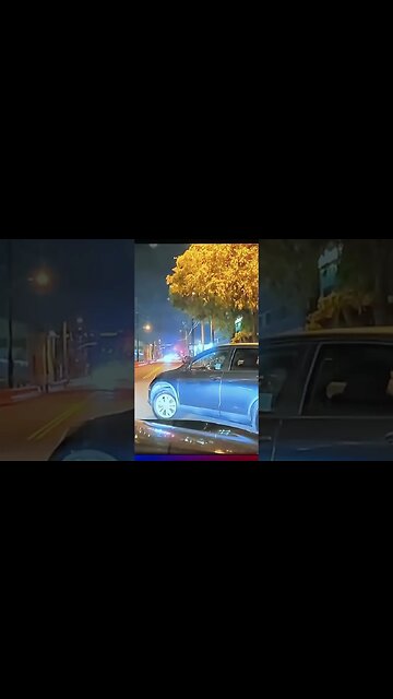 Motorcyclist With Puppy Gets Into Accident #puppy #motorcycle #accident