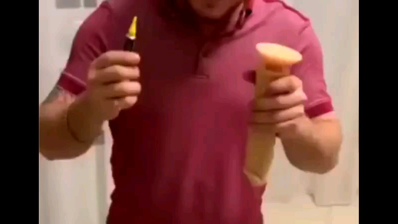 funny videos
