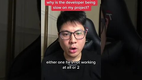 Why is the developer being slow on my project?