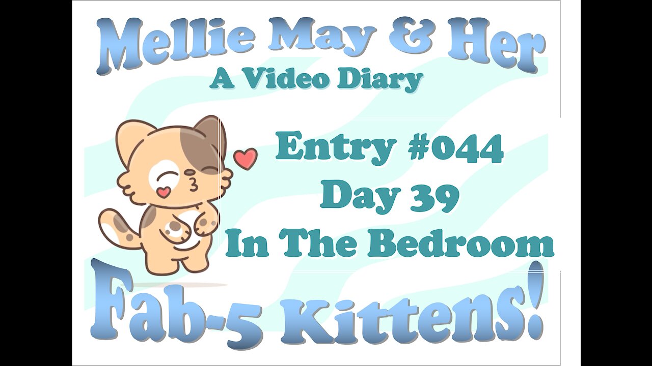 Video Diary Entry 044: Bedroom Exploration! Born Free (Forgive My Singing) - Day 39