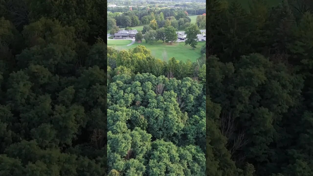 Bird’s Eye View #droneflight #fyp