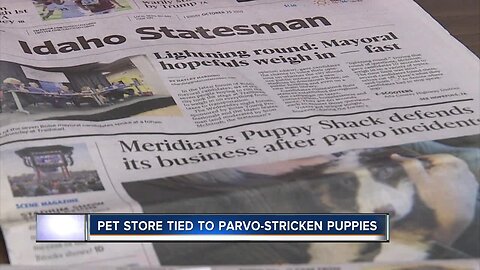 Pet store tied to parvo-stricken puppies