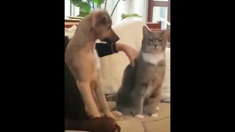 Okay But I'm Next