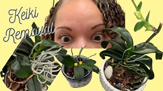 Keiki Removal from Mother