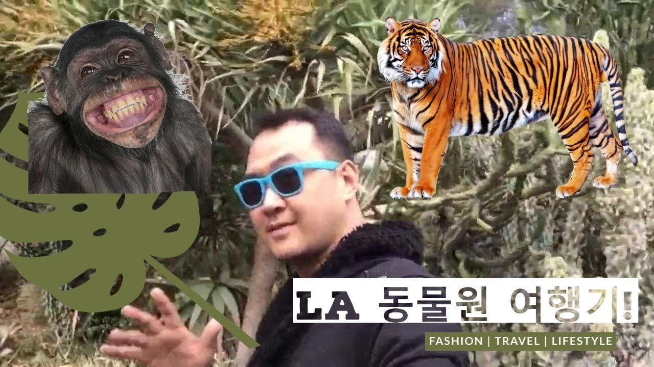 Visit Los Angeles Zoo with Brian Ka Video Vlog (Introduction in Korean)