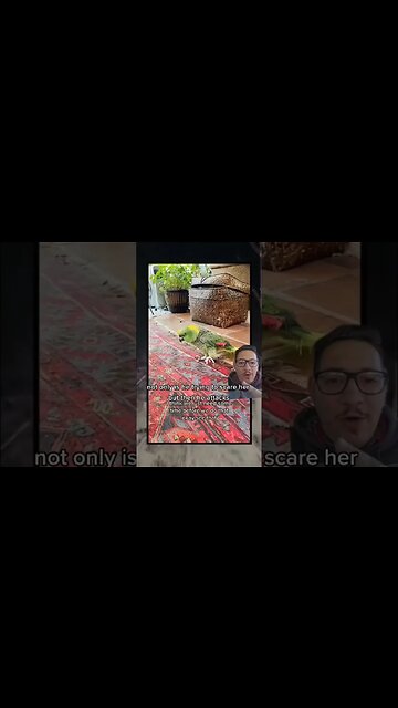 This bird needs an exorcism