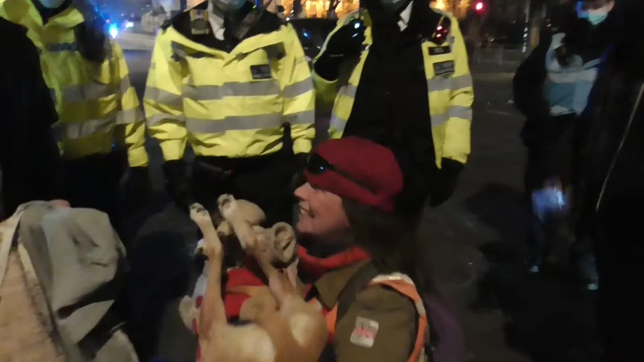 PROTESTER TOLD BY POLICE TO MOVE DYING DOG OUT OF THE ROAD #KILLTHEBILL