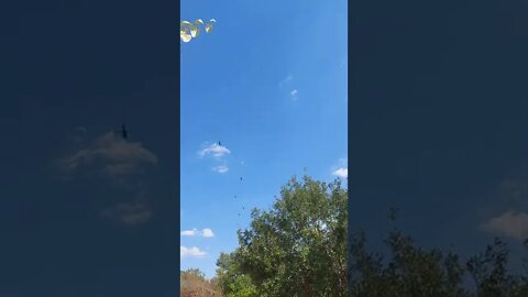 helicopters TX