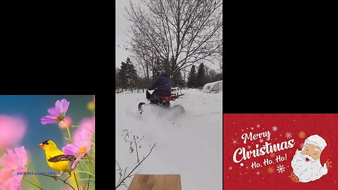 ATV Christmas Rip