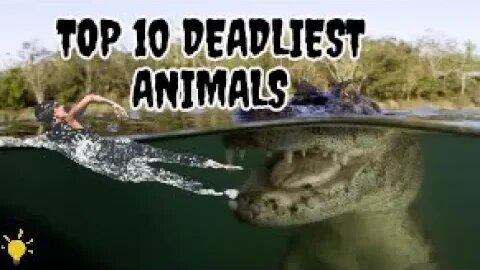 Top 10 Deadliest Animals and Tips to Survive Encounters