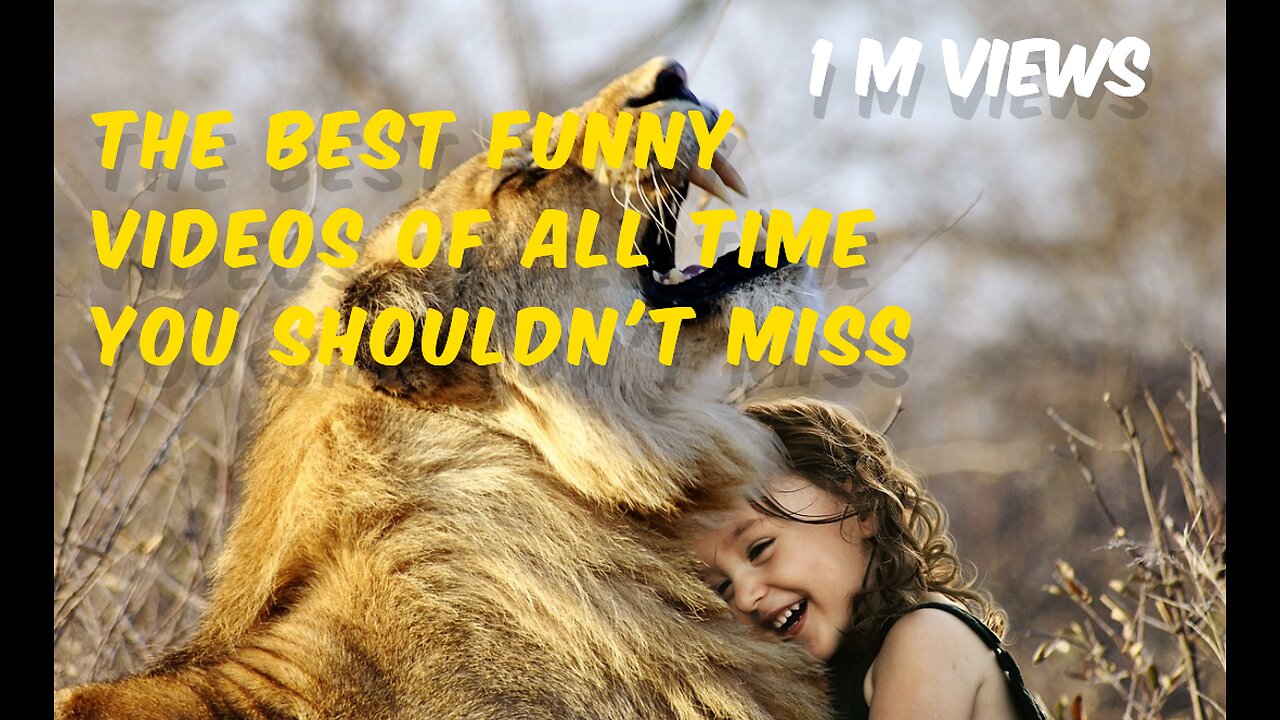 The Best Funny Videos of All Time You Shouldn't Miss