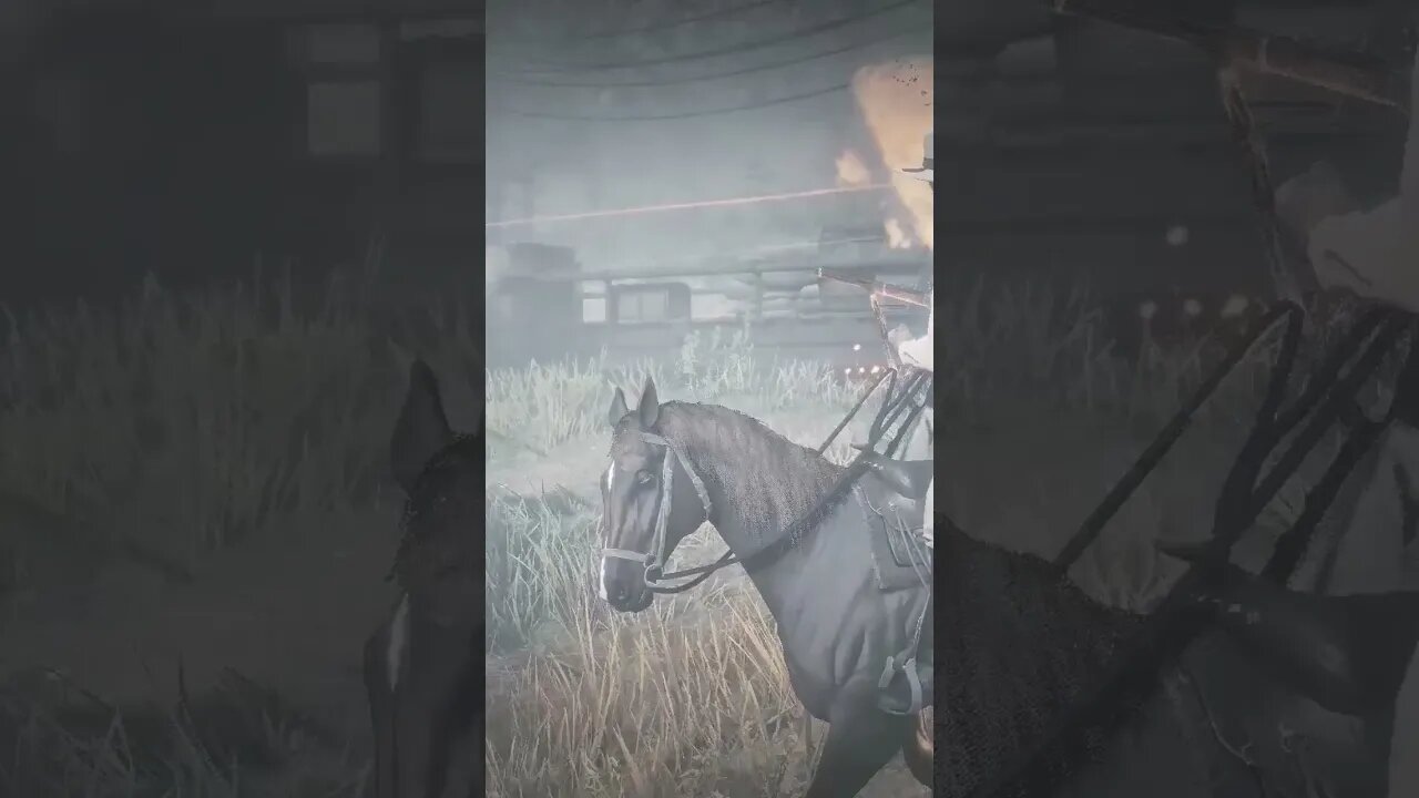 Rdr2 outlaw edits