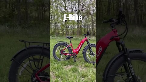 Beauty and a Beast. #ebike