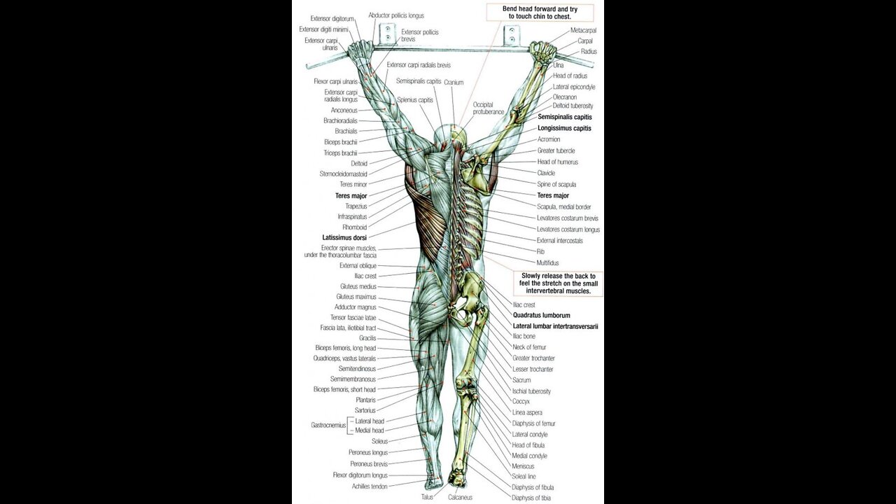 IST Health Tip of the Day! Why Do I Have Achy Joints?