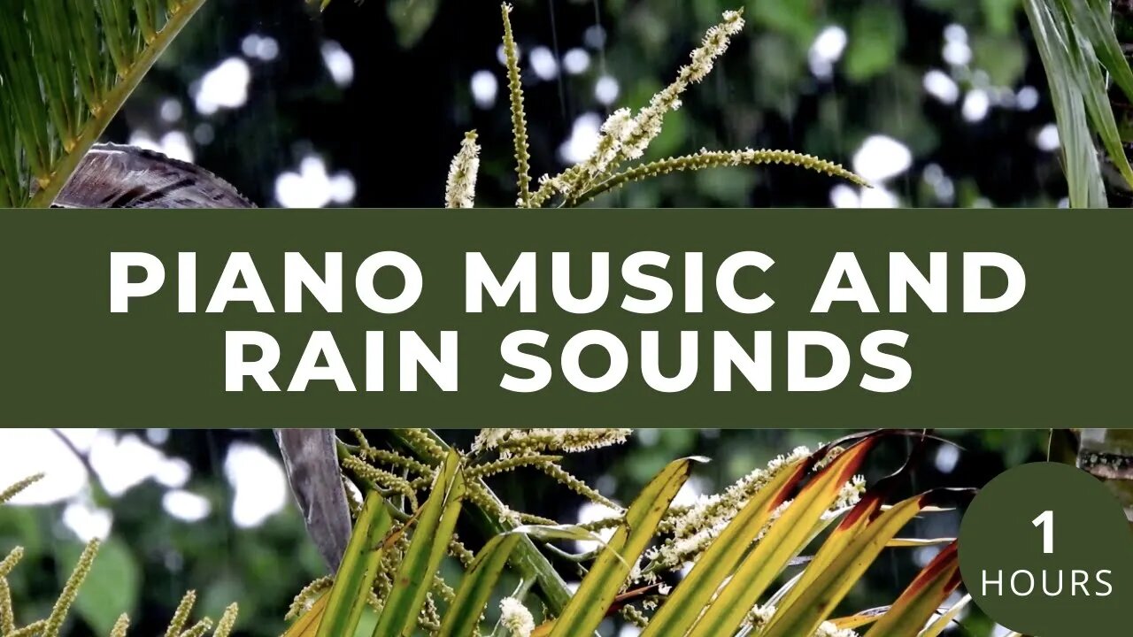 Piano music and rain sounds | How To Fully Rejuvenate In 10 Minutes