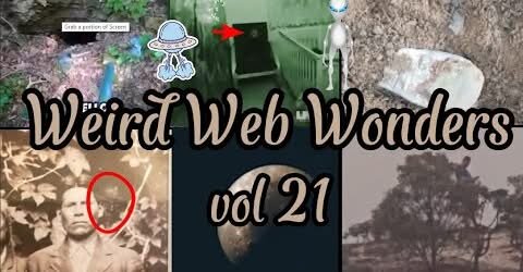 Weird Web Wonders Unraveling the Internet's Oddities! VOL 21 - 1twoz