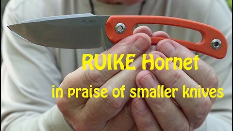 Ruike Hornet F815