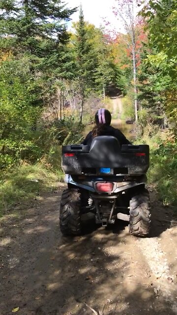 four wheeling