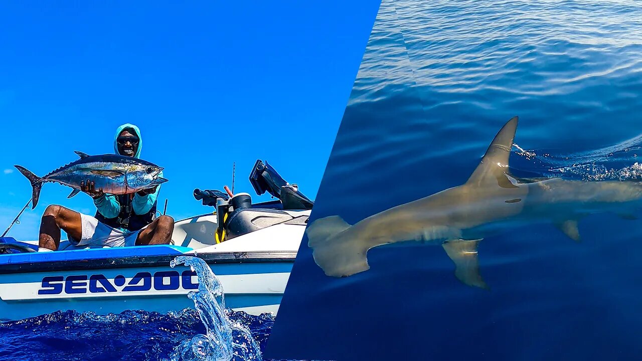 HUGE Hammerhead Shark Encounter | My Biggest Tuna On Sea-Doo