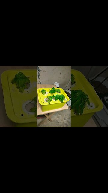 its that simple 💯