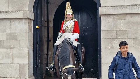 Horse gets in to strike mode #horseguardsparade