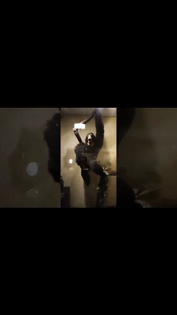 Exploring the Animal Museum