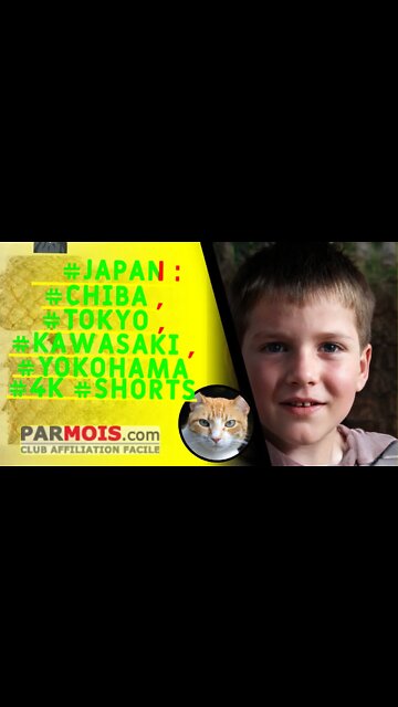 🗻 #Japan : #Chiba , #Tokyo , #Kawasaki , #Yokohama #4K #shorts