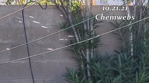 10.21.21 Chemwebs in Phx