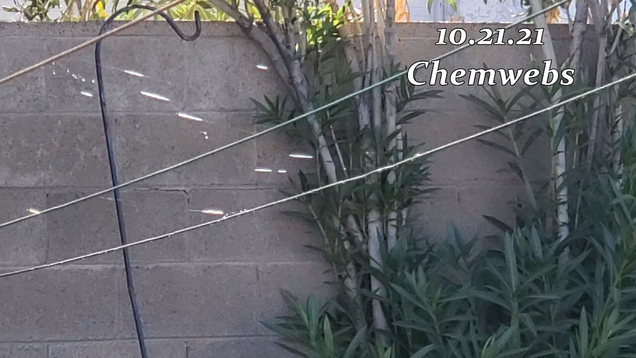 10.21.21 Chemwebs in Phx