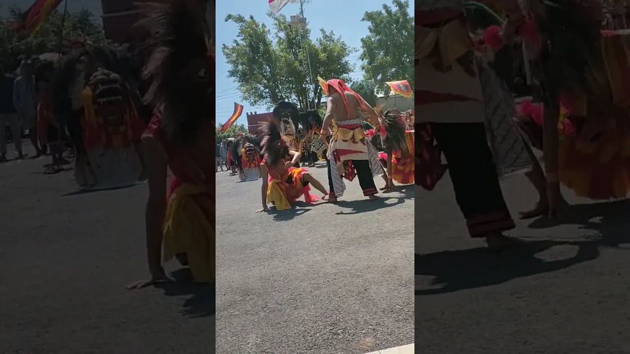 Atraksi Barongan Acara sedekah bumi desa pamotan