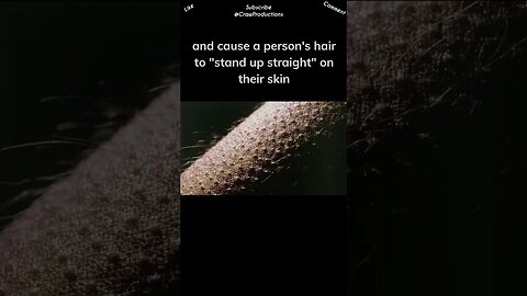 Did you know goosebumps are caused by a muscle?