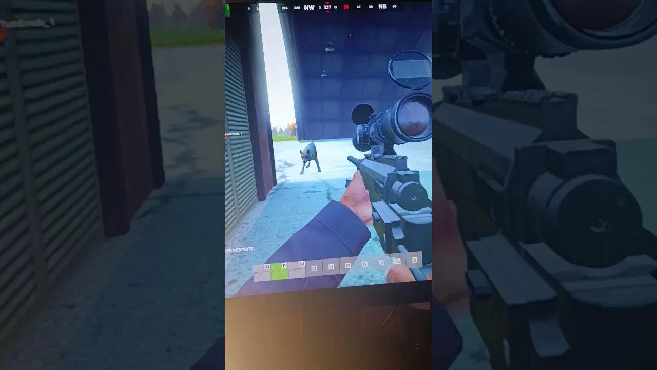 Esse lobo tá estranho