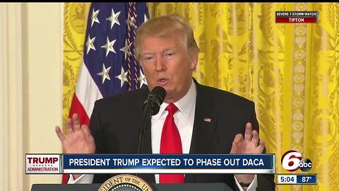 Trump expected to phase out DACA