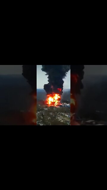 Nothing but crickets in Palestine Ohio 🪙 𝔾𝕝𝕚𝕥𝕔𝕙Đ𝕒𝕕𝕕𝕪 🐀