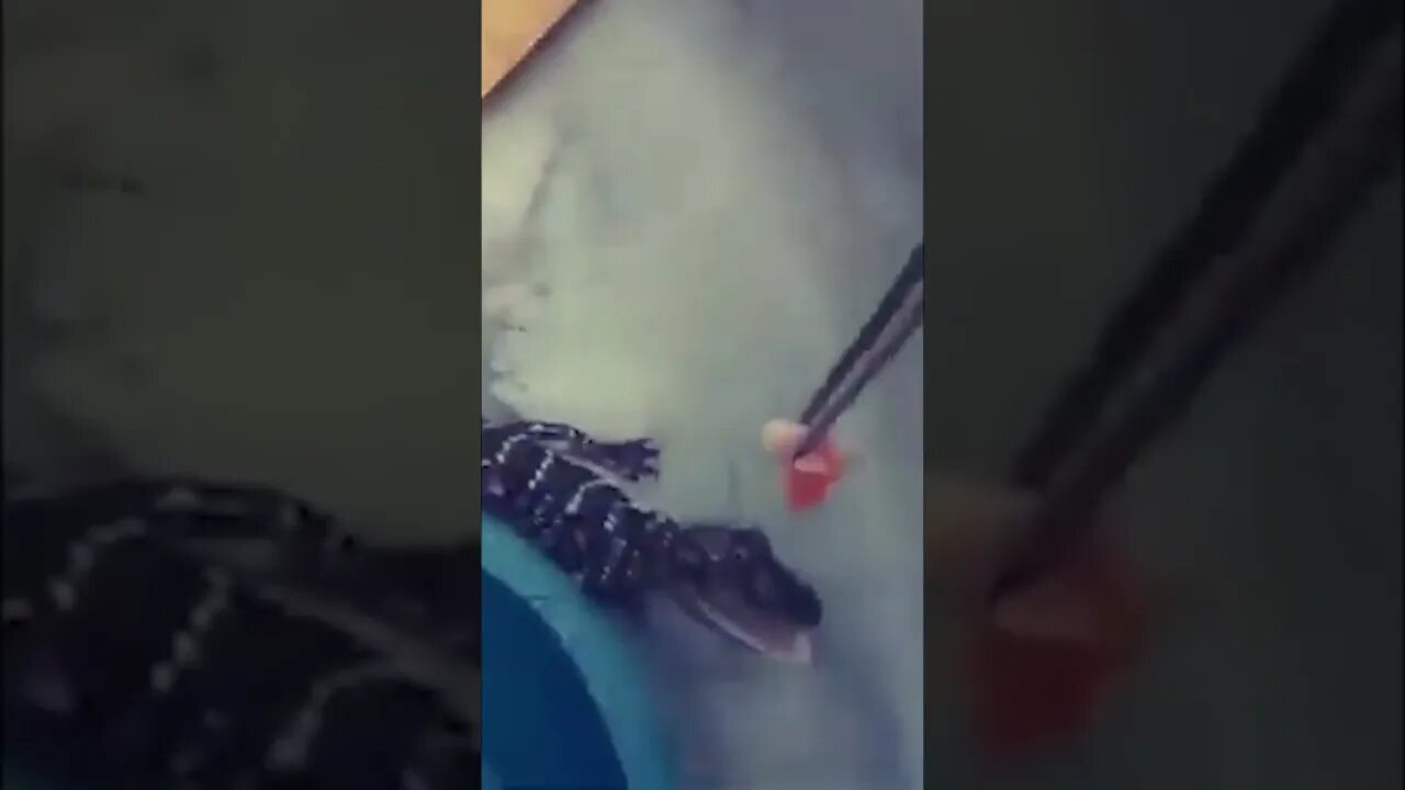 Breakfast Time. Snap Crackle & #kpop