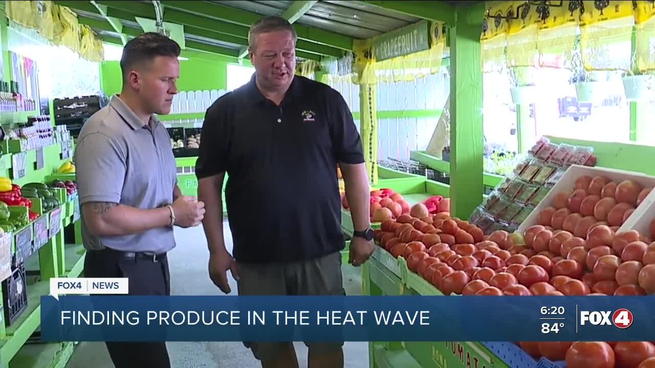 Finding produce in the heat wave
