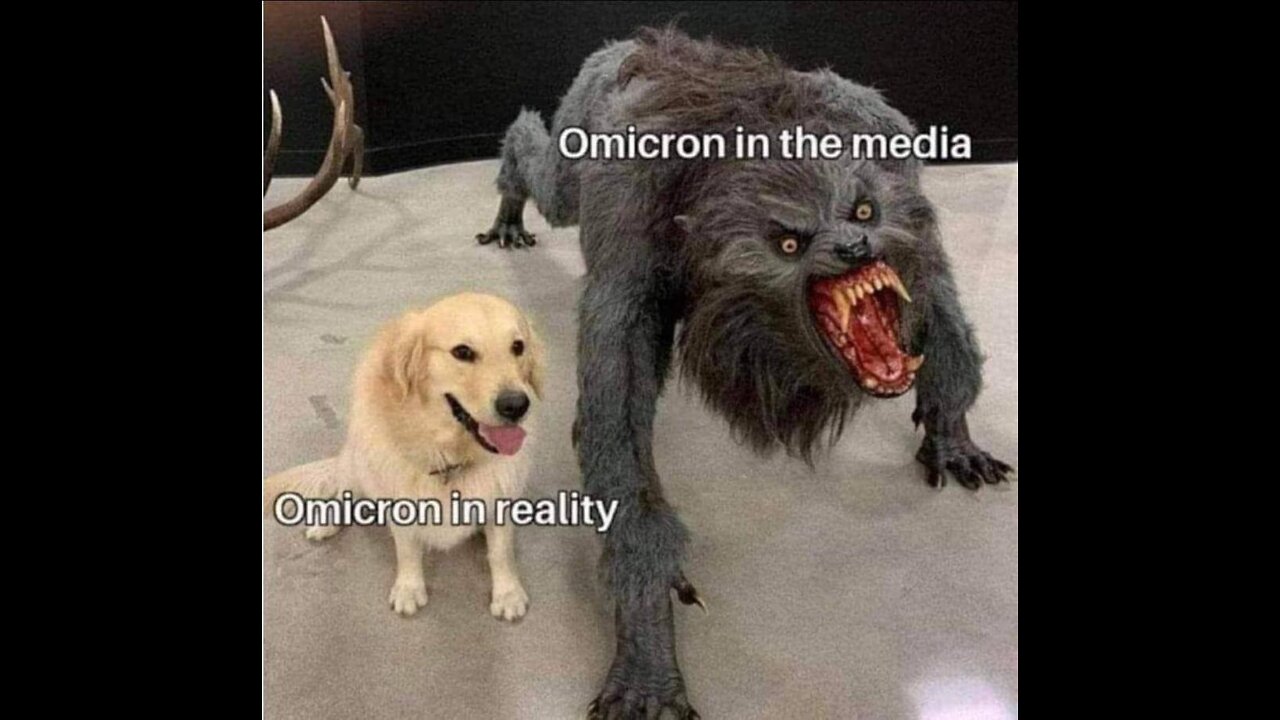 Ivermectin from Thailand