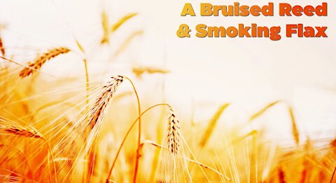 Bruised Reed and Smoking Flax