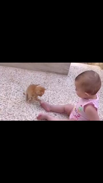Precious Playtime Between Baby And Tiny Kitten