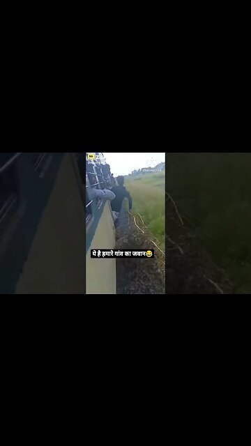 इन को किसी का डर नहीं😴😴 #shorts #short #youtubeshorts 🔥🔥