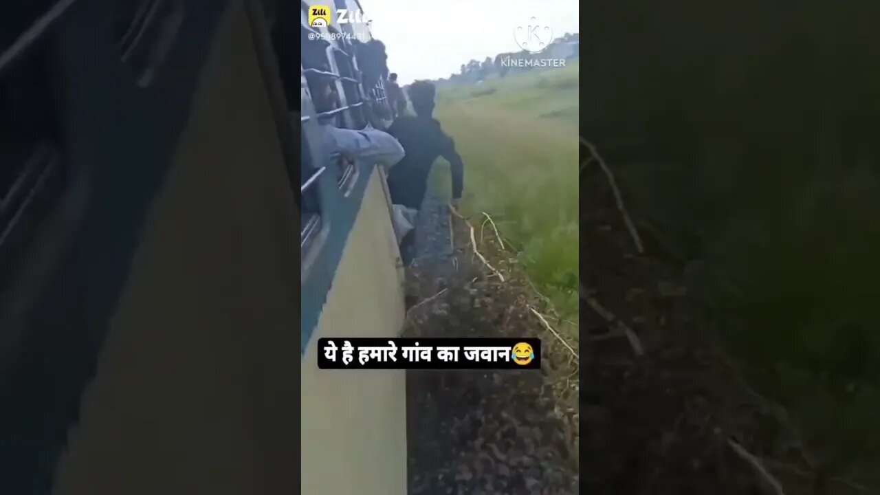 इन को किसी का डर नहीं😴😴 #shorts #short #youtubeshorts 🔥🔥