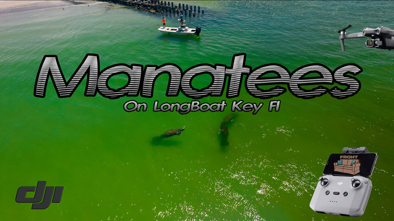 Longboat Key Beach Manatees Offshore Drone