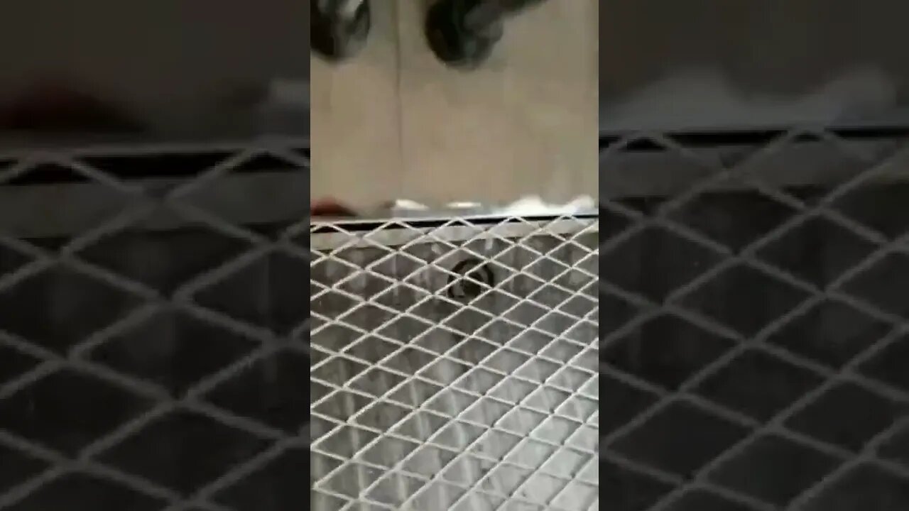 Making a Fence / experiment subscription