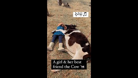 A girl with her Cow