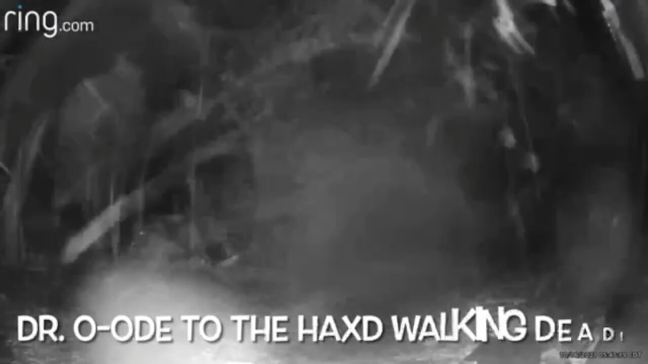 Dr. O: My Ode To The HAXD Walking Dead Zombies