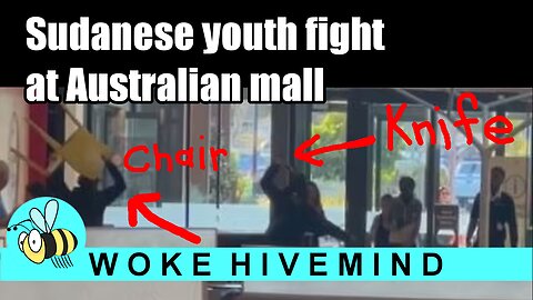 Brawl caught on video at Woodgrove Shopping Centre, Australia