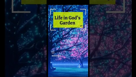 Life in God's Garden | Prabhu ka dhanyawad karunga #gospel_talk #shorts #religion